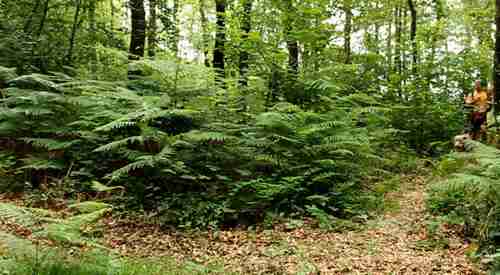 parcours f�f�ral